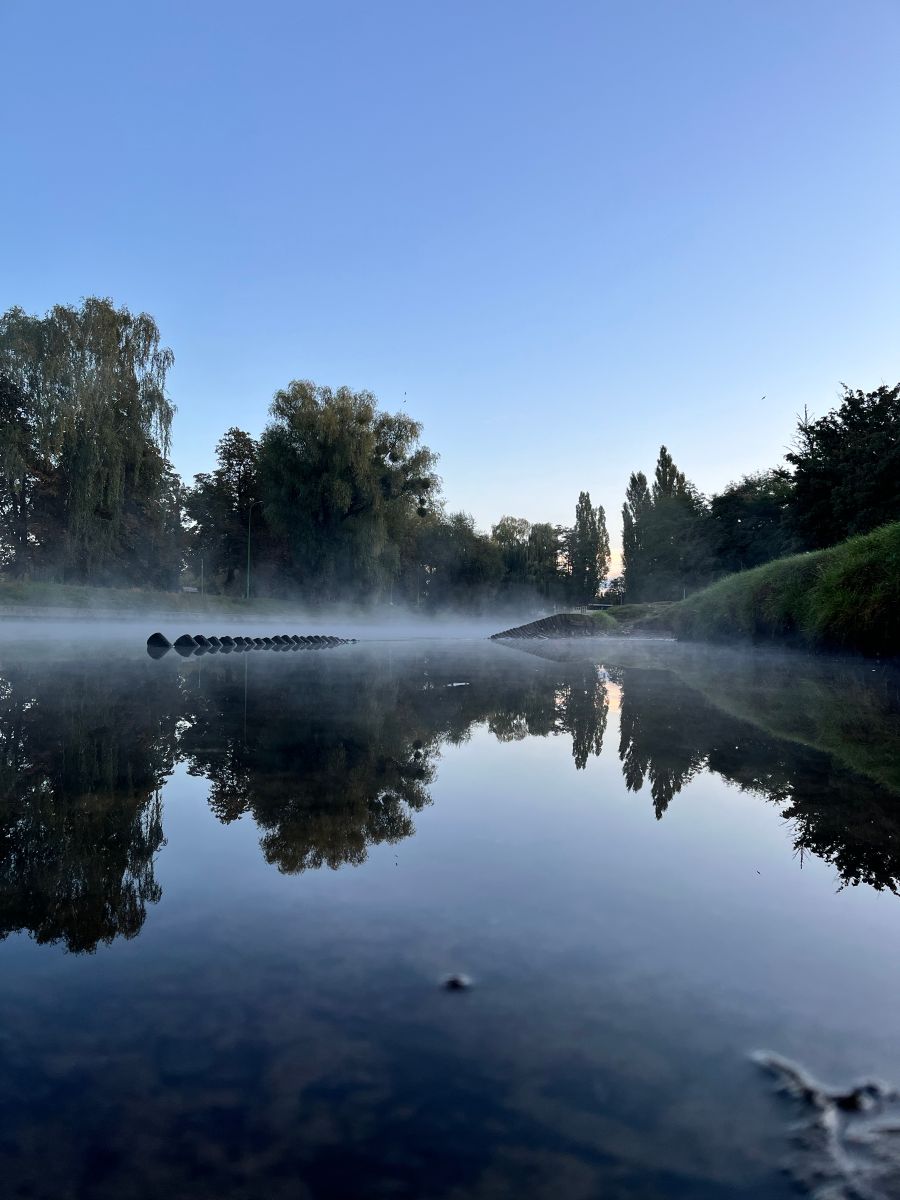 Małgorzata Cieślak