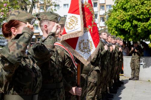 Żołnierze podczas apelu. Salutują.