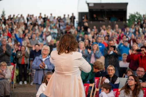 Widownia podczas koncertu. Widok z zza pleców artystki.