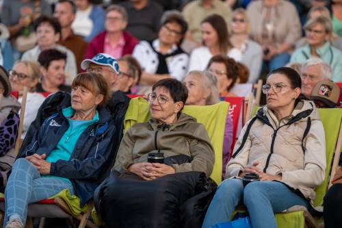 Widownia podczas koncertu. Zbliżenie.