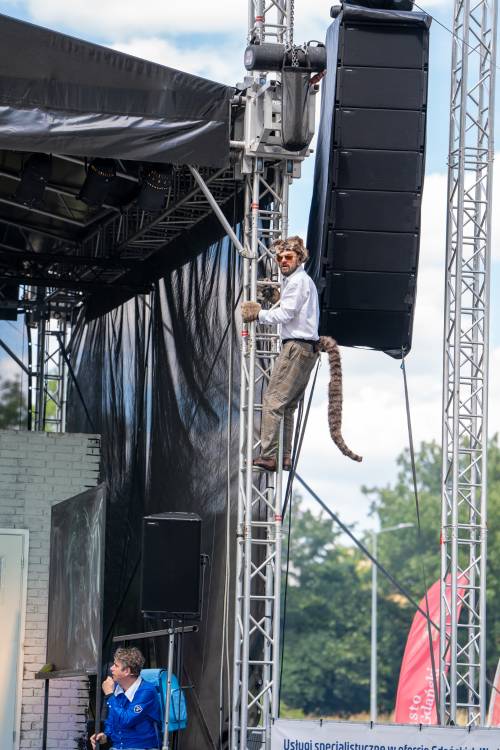 Aktor z ogonem wspina się na konstrukcję sceny.