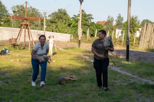 Dwie dorosłe osoby na hobby horse.