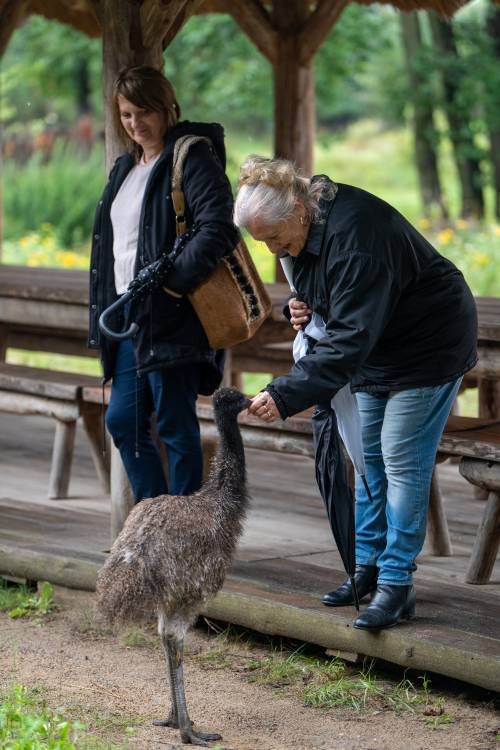 Zwiedzający ze strusiem.