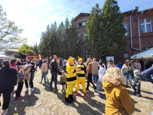 Uczestnicy parady i festynu.