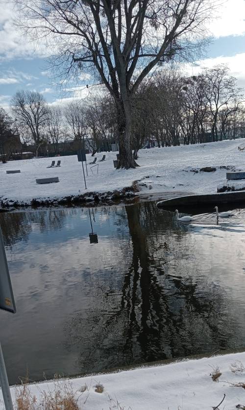Plaża miejska zimą.