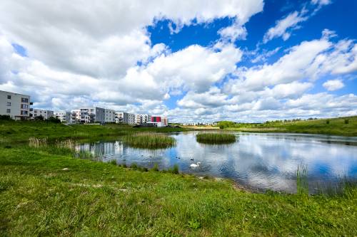 Niebieskie niebo i stawy obok bloków.
