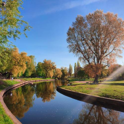 Kanał Raduni pod drzewami.