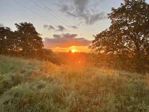 Zachód słońca - pole i drzewa.
