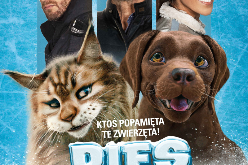 Wydarzenie: Kino: Pies i Kot, Kiedy? 2024-03-02 13:00, Gdzie? ul. Fryderyka Chopina 34 Pruszcz Gdański Polska