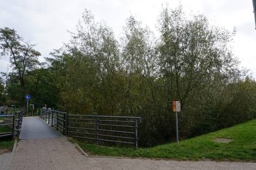 Budowa nowej kładki będzie realizowana w miejsce istniejącej, na przedłużeniu ulicy Mickiewicza.