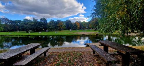 Widok na ławki nad brzegiem wody