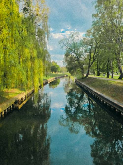 Widok na rzekę i drzewa