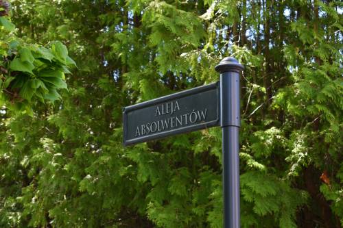 Zbliżenie na znak Aleja Absolwentów
