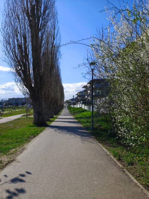Widok na drogę