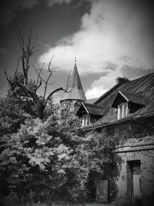 Widok na stary dom i drzewo