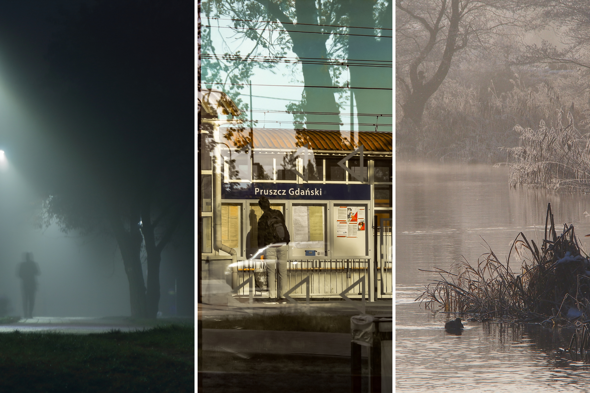 Poznaliśmy laureatów konkursu fotograficznego „Pruszcz zatrzymany w kadrze”